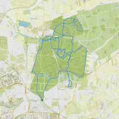 Mapa z zaznaczonymi trasami rowerowymi w lesie. Widoczne drogi, ścieżki i punkty orientacyjne.