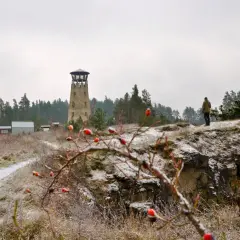 Kamieniołom Babia Dolina z wieżą widokową i człowiekiem na tle lasu.