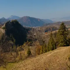 Jesienny krajobraz Pienin Wysokiej z łagodnymi wzgórzami, skalistym zboczem i drzewami w barwach jesieni.