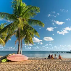 Słoneczna miejscowość nad morzem z palmami, plażą i ludźmi odpoczywającymi przy wodzie. W oddali widać molo.
