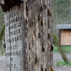 Drewniany słup z wyrytymi słowami i wbitą monetą, symbolizujący miejsce mocy w Puszczy Białowieskiej.