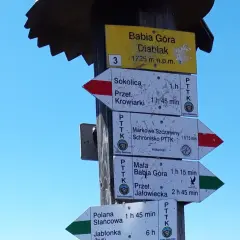 Rozdroże szlaków na Babiej Górze. Znaki PTTK wskazują drogę na Diablak, Sokolicę, Markowe Szczawiny i Małą Babią Górę.