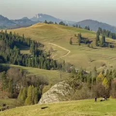 Malowniczy szlak na wysoką, wijący się przez zielone wzgórza i lasy. W oddali widać pasmo górskie.