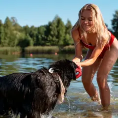 Radosne mazury z psem. Dziewczyna w czerwonym stroju kąpielowym bawi się z czarnym psem w jeziorze.