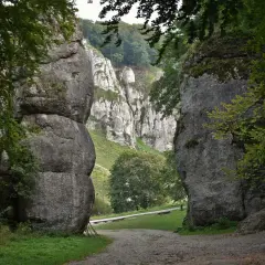 Wąwóz w Ojcowski Park Narodowy, zdominowany przez potężne skały wapienne i bujną zieleń.