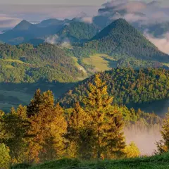 Poranne mgły unoszą się nad zielonymi wzgórzami Magurskiego Parku Narodowego, oświetlonymi złotym blaskiem słońca.