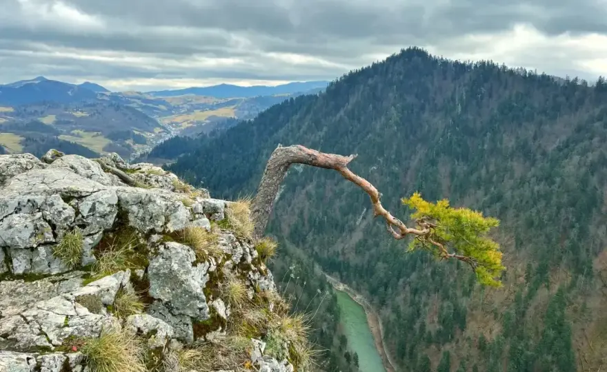 Pieniny - Jak zaplanować wyjazd? Szlaki, spływ i widoki