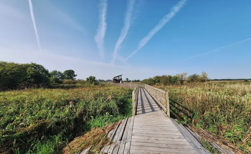 Narwiański Park Narodowy - Jak zwiedzać Podlasie bez pośpiechu?