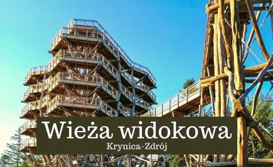 Spacer w koronach drzew - Gdzie jechać i jak zaplanować?