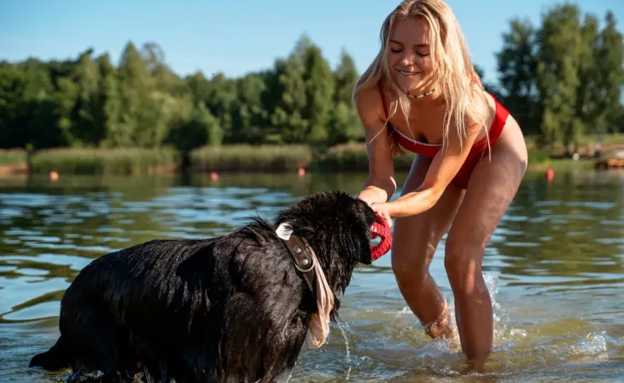 Mazury z psem - Jak zaplanować idealny spacer?