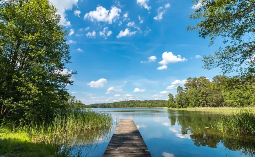 Drawieński Park Narodowy - Jak zaplanować idealny wyjazd?