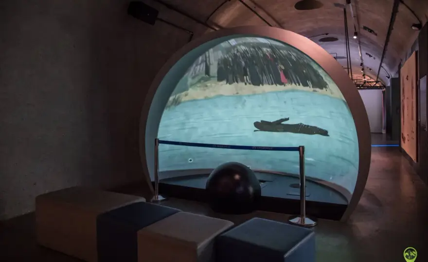 Hydropolis - ile czasu na zwiedzanie? Planuj bez pośpiechu!