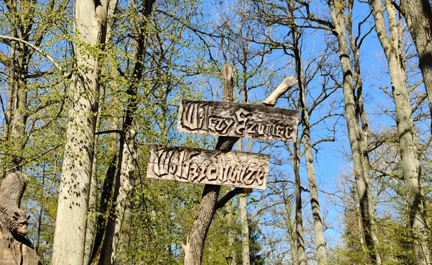 Wilczy Szaniec - Jak zwiedzać, by nic nie ominąć? Trasa i ceny