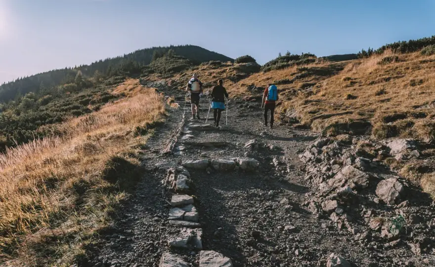 Hala Gąsienicowa - Jak zaplanować idealną wycieczkę w Tatry?