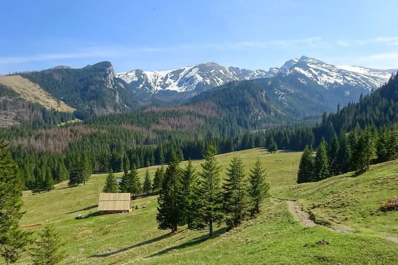 Łatwa trasa zakopane: zielona dolina, las świerkowy i ośnieżone szczyty Tatr. Drewniana chata w oddali.