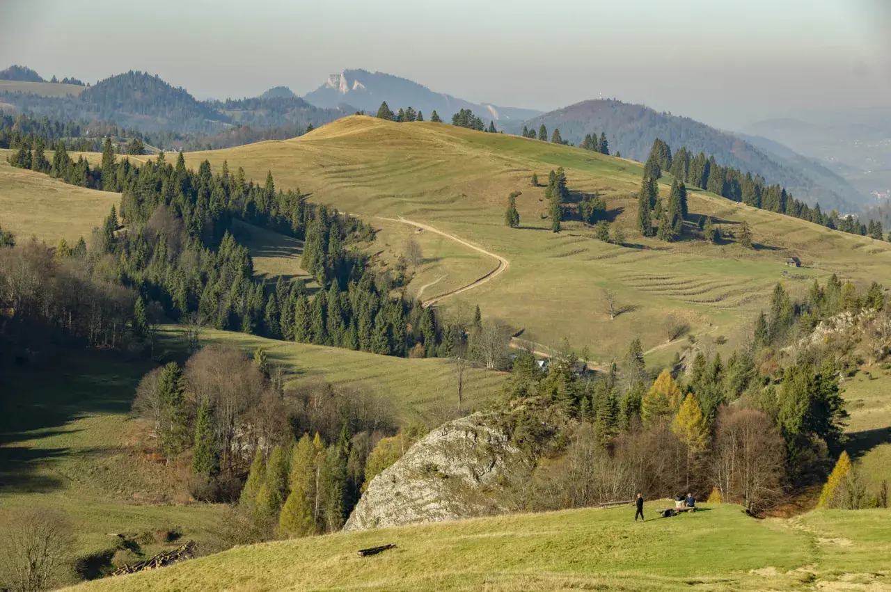 Malowniczy szlak na wysoką, wijący się przez zielone wzgórza i lasy. W oddali widać pasmo górskie.