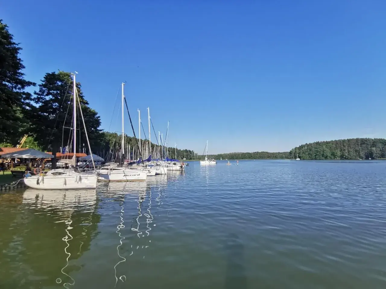 Żaglówki cumują w porcie w Rucianem Nidzie. Słoneczny dzień nad jeziorem, zalesiony brzeg w oddali.