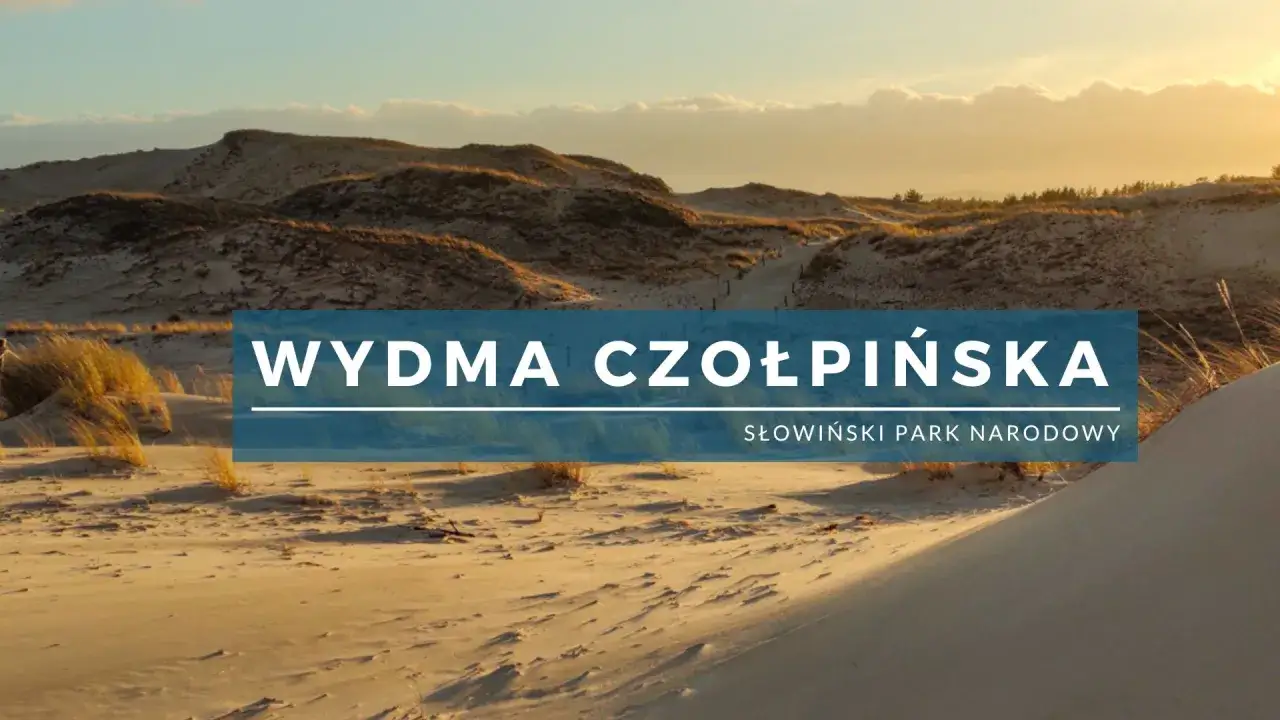 Złociste piaski i trawy na wydmie czołpińskiej w Słowińskim Parku Narodowym. Słońce zachodzi, tworząc długie cienie.