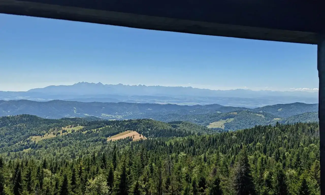 Widok na góry z lasem sosnowym w pierwszym planie. W oddali majaczą Tatry, a krajobraz tworzy górski troszacki spokój.