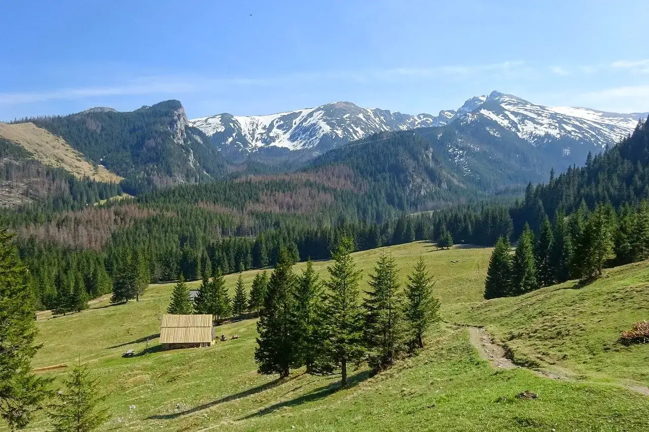 Piękny widok na Tatry z zieloną halą i drewnianą chatką. Idealna łatwa trasa zakopane dla każdego.